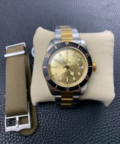 Tudor_15